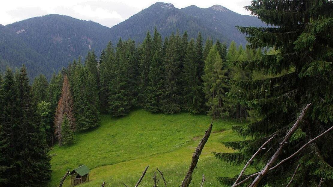 Chata Vypo Liptovský Ján Exterior foto